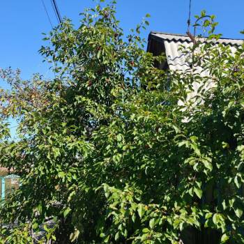 Продается Дом, 55 м²