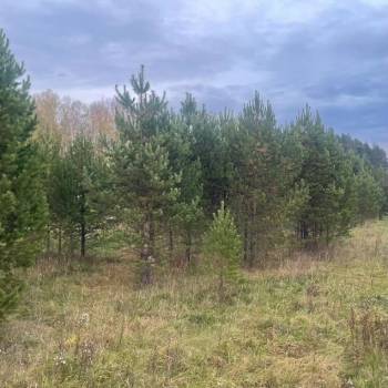 Продается Участок, 990 м²