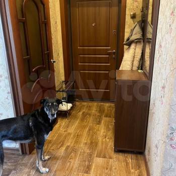 Продается 1-комнатная квартира, 41,5 м²