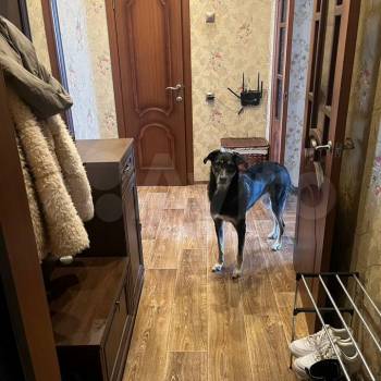 Продается 1-комнатная квартира, 41,5 м²