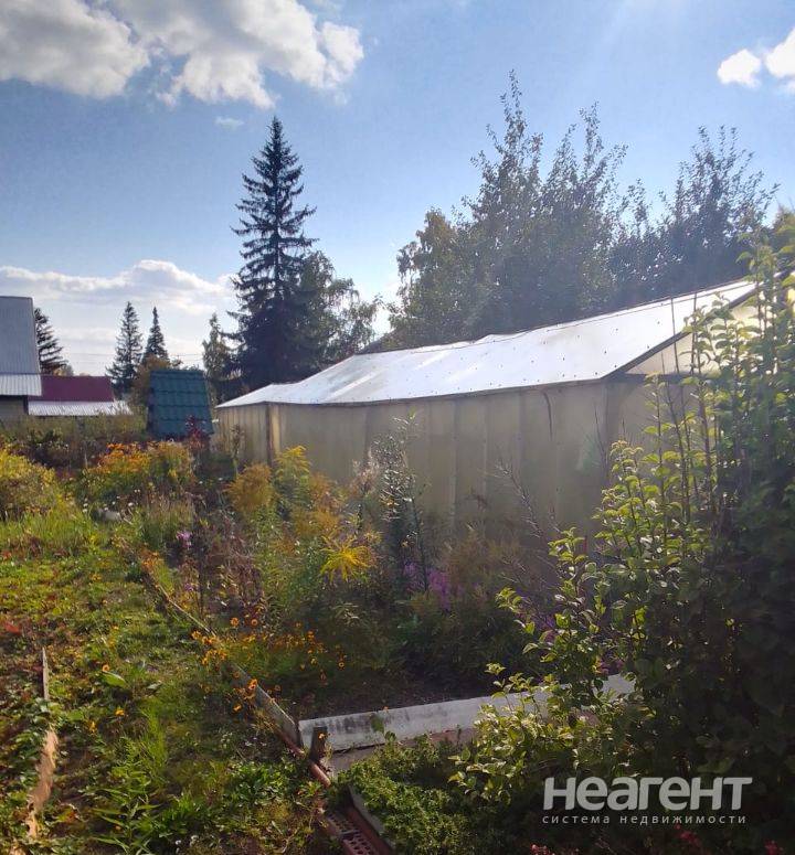 Фотография №3