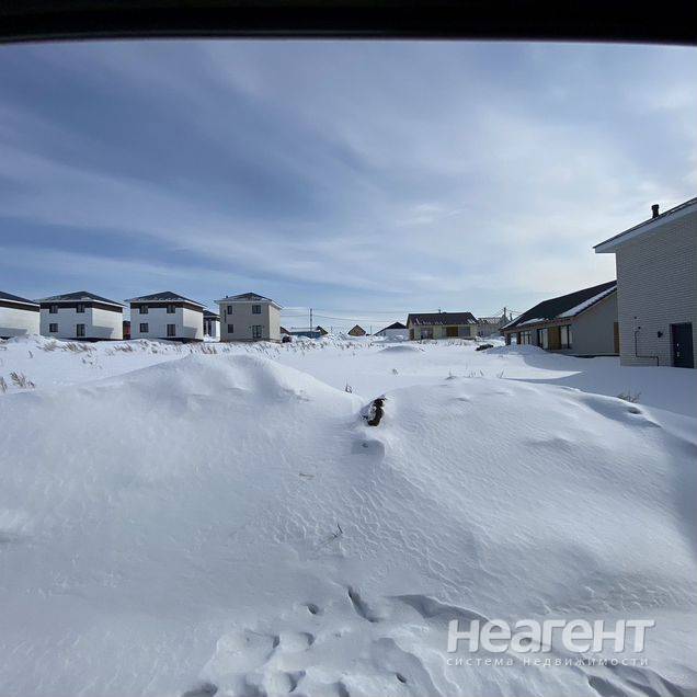 Фотография №3