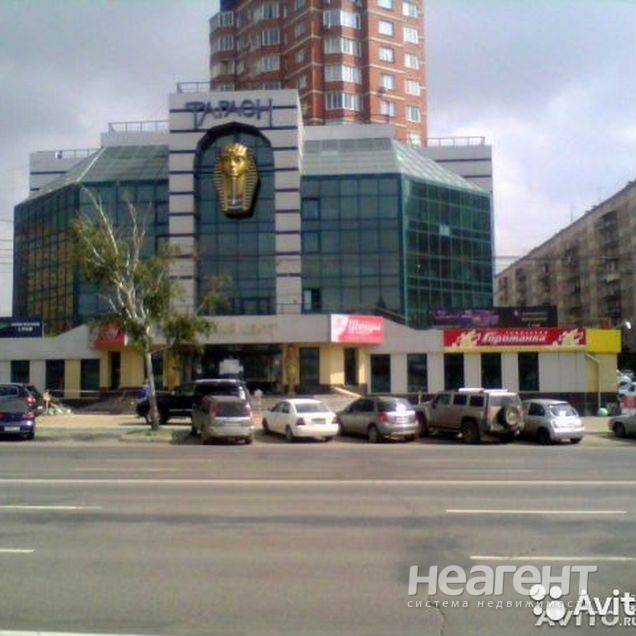 Фотография №2