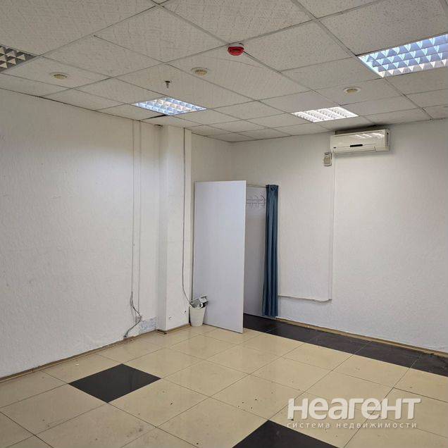 Фотография №3