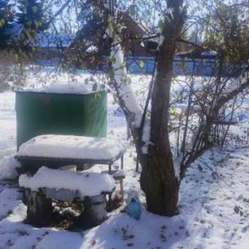 Продается Дом, 25 м²