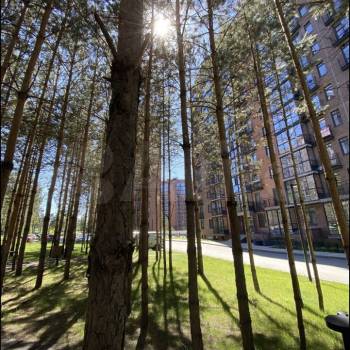 Продается 2-х комнатная квартира, 49,2 м²