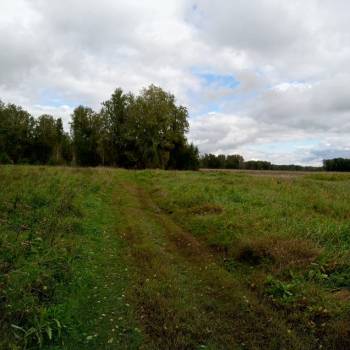 Продается Участок, 500 м²