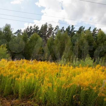 Продается Участок, 1000 м²