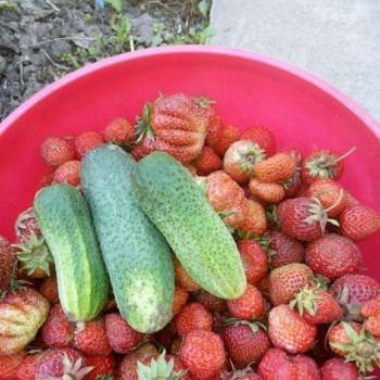 Продается Дом, 45 м²