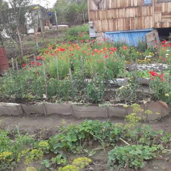 Продается Участок, 470 м²