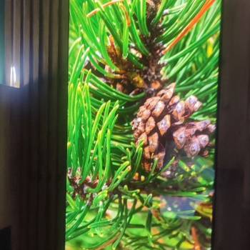 Продается 3-х комнатная квартира, 59 м²