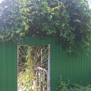 Продается Участок, 600 м²