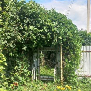 Продается Участок, 600 м²