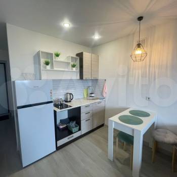 Продается 1-комнатная квартира, 24,4 м²