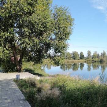 Продается 1-комнатная квартира, 21 м²