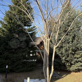 Продается Дом, 89 м²