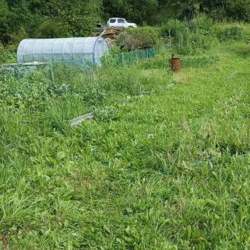 Продается Дом, 18 м²