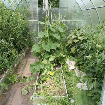 Продается Дом, 18 м²