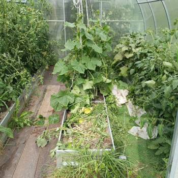 Продается Дом, 12 м²