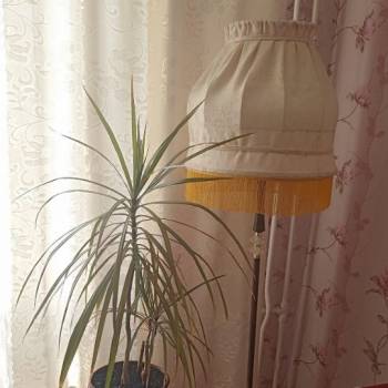 Сдается Комната, 74 м²