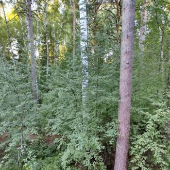 Продается 3-х комнатная квартира, 77,9 м²