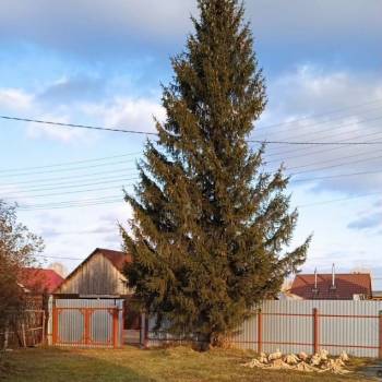 Продается Дом, 48 м²