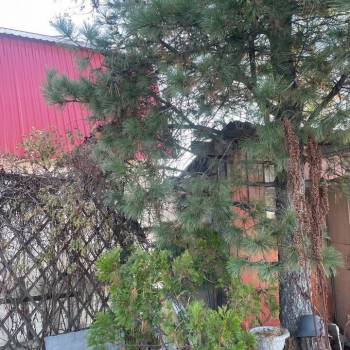 Продается Дом, 40 м²