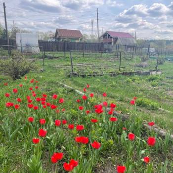 Продается Дом, 40 м²