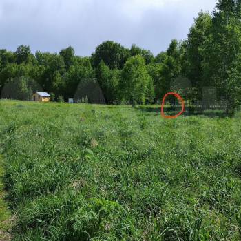 Продается Участок, 800 м²