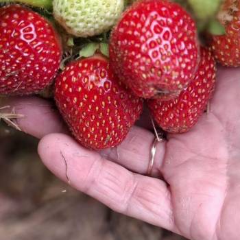 Продается Дом, 10 м²