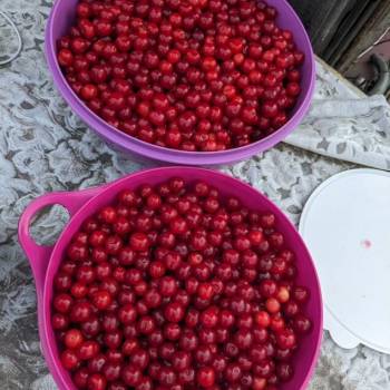 Продается Дом, 10 м²