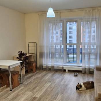 Сдается 1-комнатная квартира, 23 м²