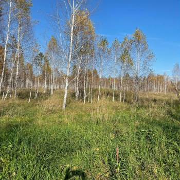 Продается Участок, 0 м²