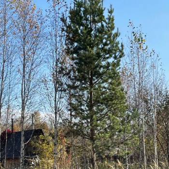 Продается Участок, 0 м²