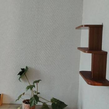 Сдается Комната, 0 м²