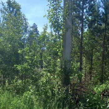 Продается Участок, 1550 м²