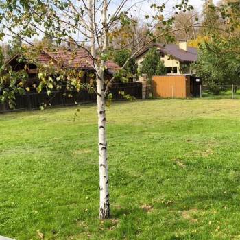 Продается Участок, 1000 м²