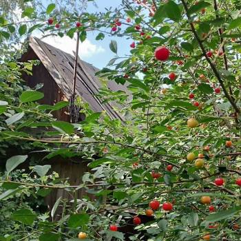 Продается Участок, 700 м²