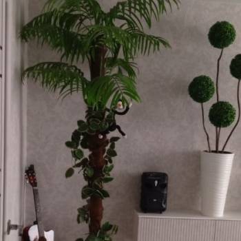 Сдается Комната, 68 м²