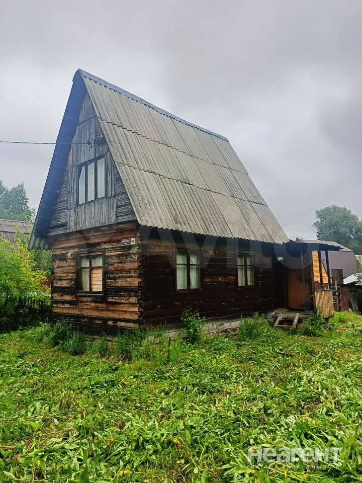 Фотография №3