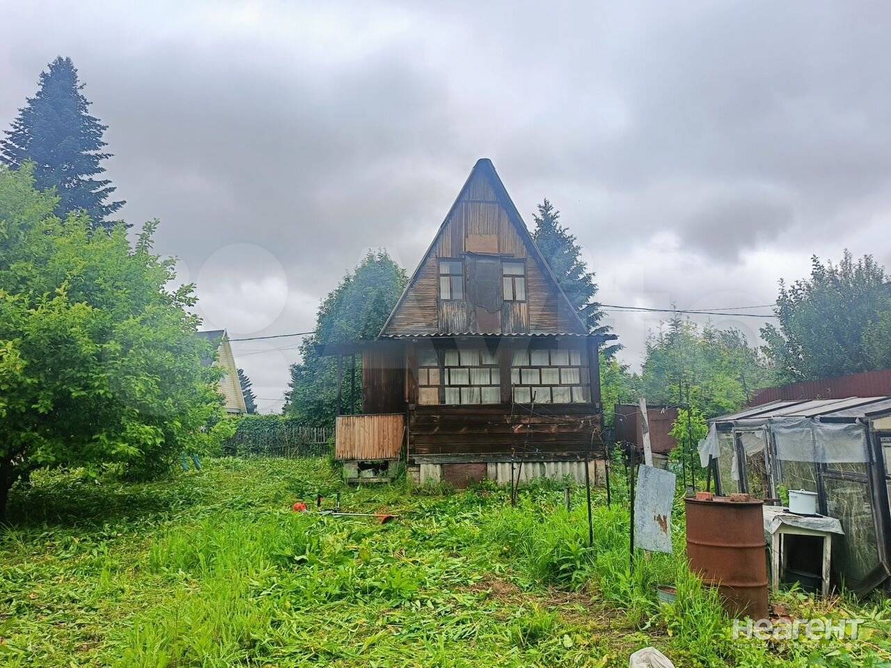 Фотография №5