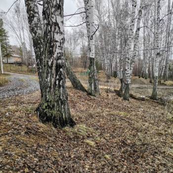 Продается Участок, 1000 м²