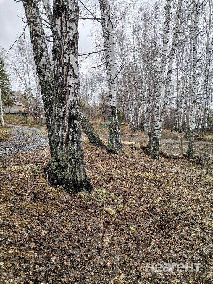 Фотография №3