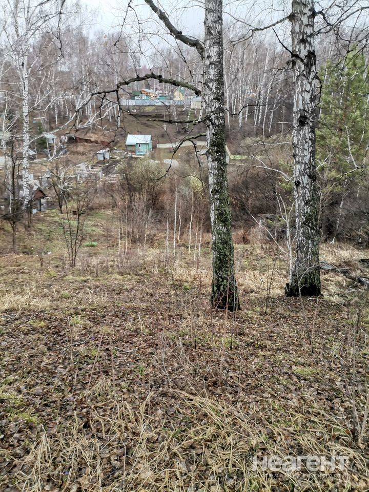 Фотография №4