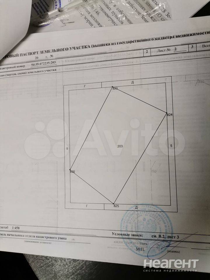 Фотография №5