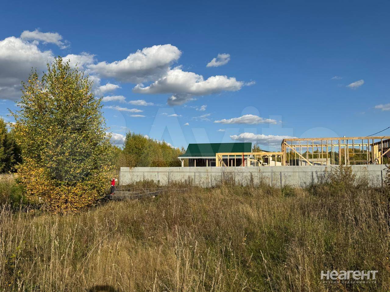 Фотография №4