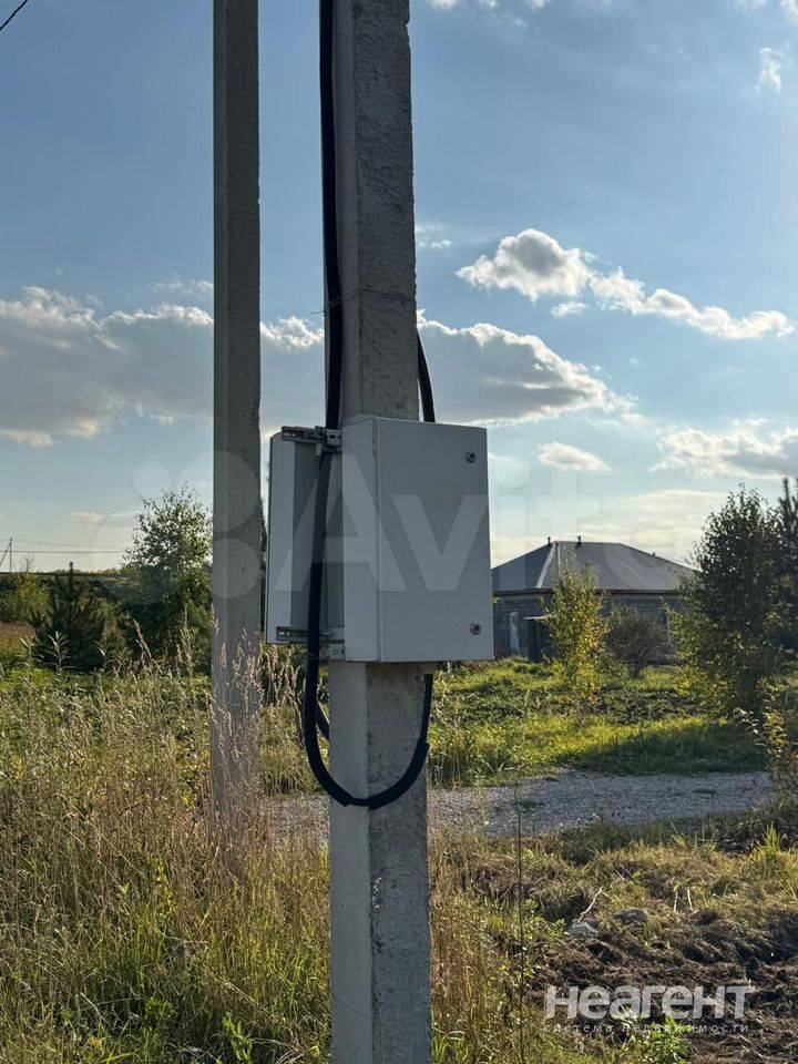 Фотография №5