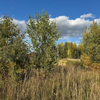 Продается Участок, 730 м²