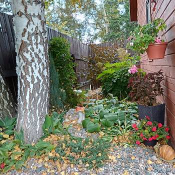 Продается Дом, 60 м²