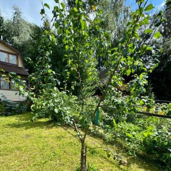 Продается Дом, 59,3 м²